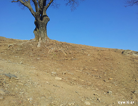 계족산 등산 (사진:최용우)