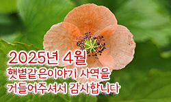 햇볕같은이야기 후원