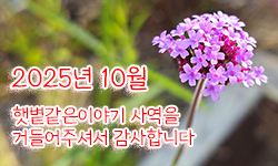 햇볕같은이야기 후원