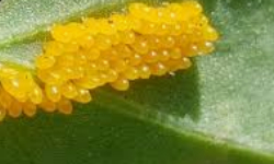 Cap 2026-02-18 21-52-35.jpg