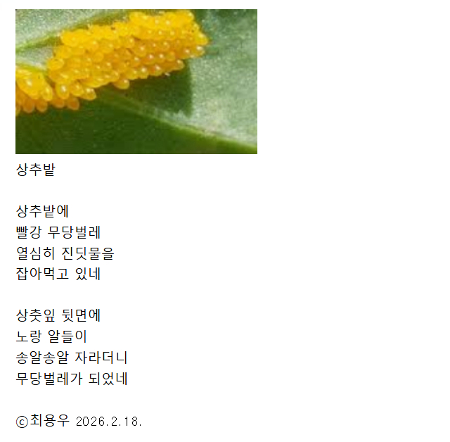 Cap 2026-02-18 21-53-11.jpg