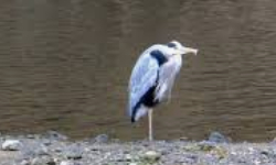 Cap 2025-09-24 20-59-29-956.jpg