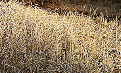 Cap 2024-03-10 21-26-42-489.jpg