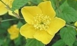 Cap 2026-05-04 09-40-47.jpg