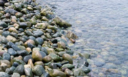 Cap 2025-12-30 23-13-49.jpg