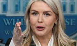 Cap 2026-03-14 22-06-40.jpg