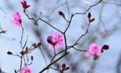 Cap 2026-03-15 21-33-45.jpg