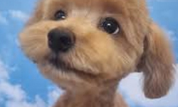 Cap 2025-09-29 22-21-45-643.jpg