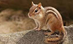 Cap 2024-02-04 22-37-40-319.jpg