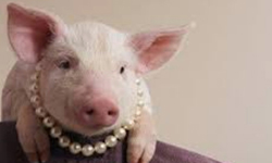 Cap 2025-09-03 22-10-33-206.jpg