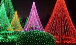 Cap 2025-12-23 21-51-05.jpg