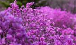 Cap 2026-03-17 21-53-38.jpg