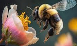 Cap 2025-01-15 07-07-01-190.jpg