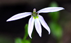 Cap 2026-07-08 17-23-10.jpg
