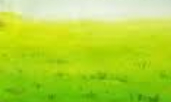 Cap 2026-03-18 22-14-37.jpg