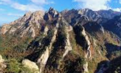 Cap 2025-06-15 21-22-35-146.jpg