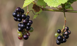 Cap 2025-12-14 21-25-20.jpg