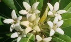 Cap 2025-05-21 21-37-17-953.jpg