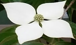 Cap 2026-05-16 23-52-22.jpg