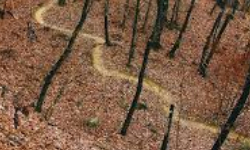 Cap 2026-02-02 21-03-12.jpg