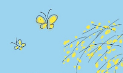 Cap 2026-03-21 23-27-03.jpg