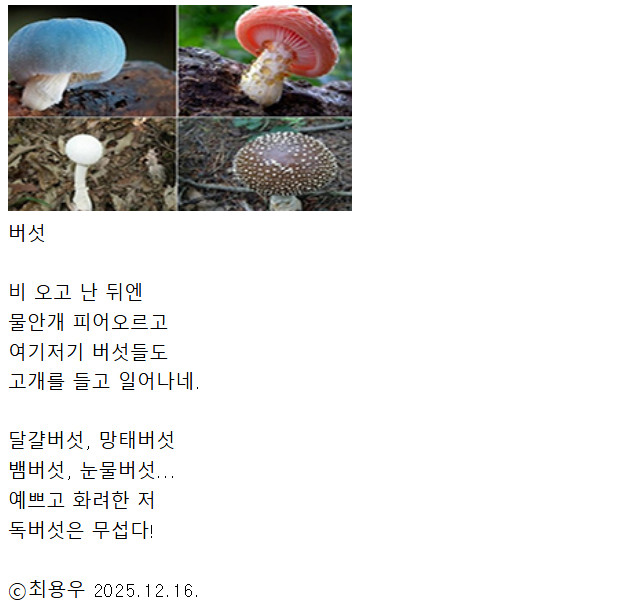 Cap 2025-12-16 22-46-29.jpg