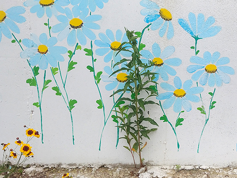 20220624-480.jpg