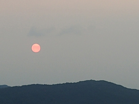 20220625-480.jpg