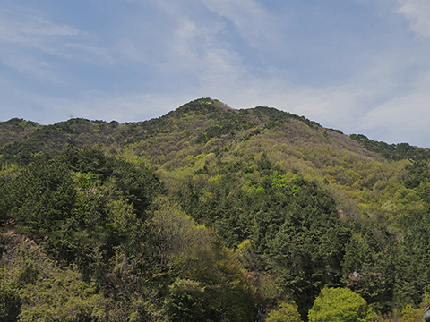 20260426-480.jpg