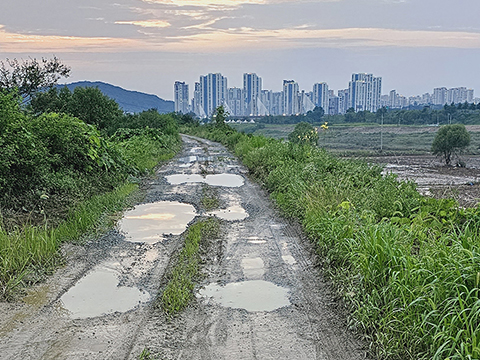 20230716-480.jpg