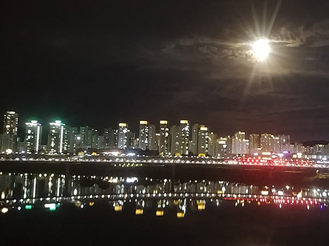 20220910-480.jpg