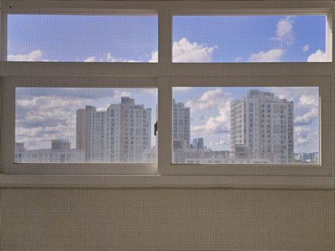 20250917-480.jpg