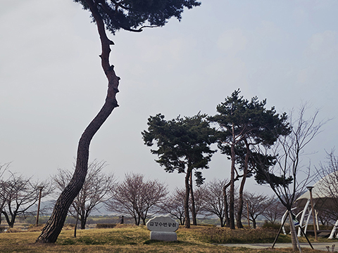 20260326-480.jpg