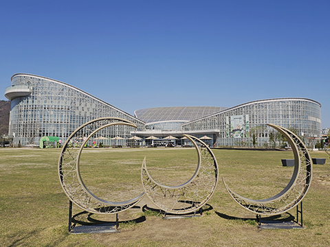20260408-480.jpg