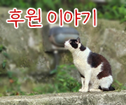 m300061-180.jpg