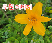 m300071-180.jpg