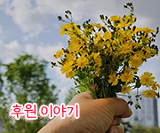 m300041-180.jpg
