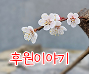 m300031-180.jpg