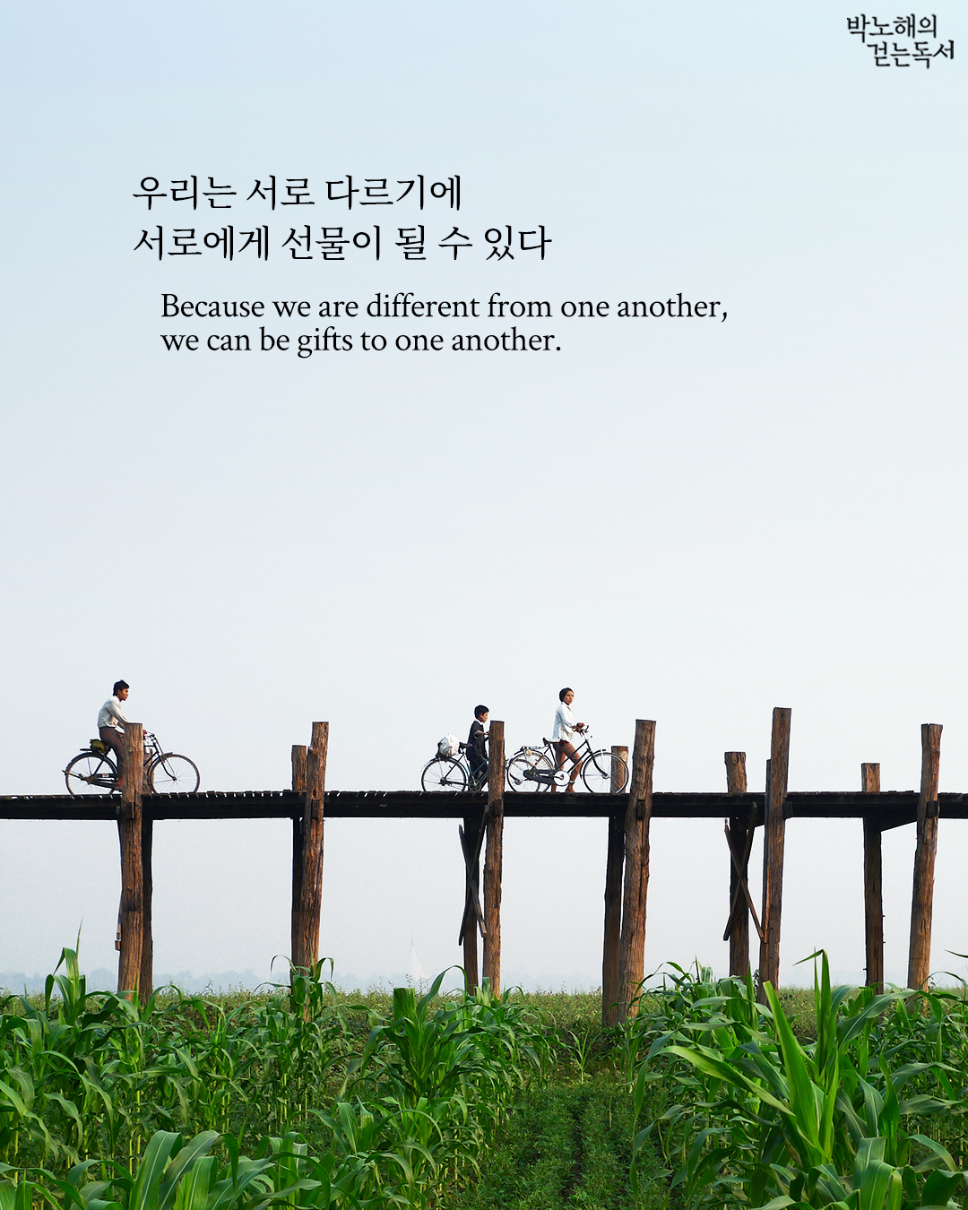 7449b10071cfff182d3a43841bfe6dae.jpg