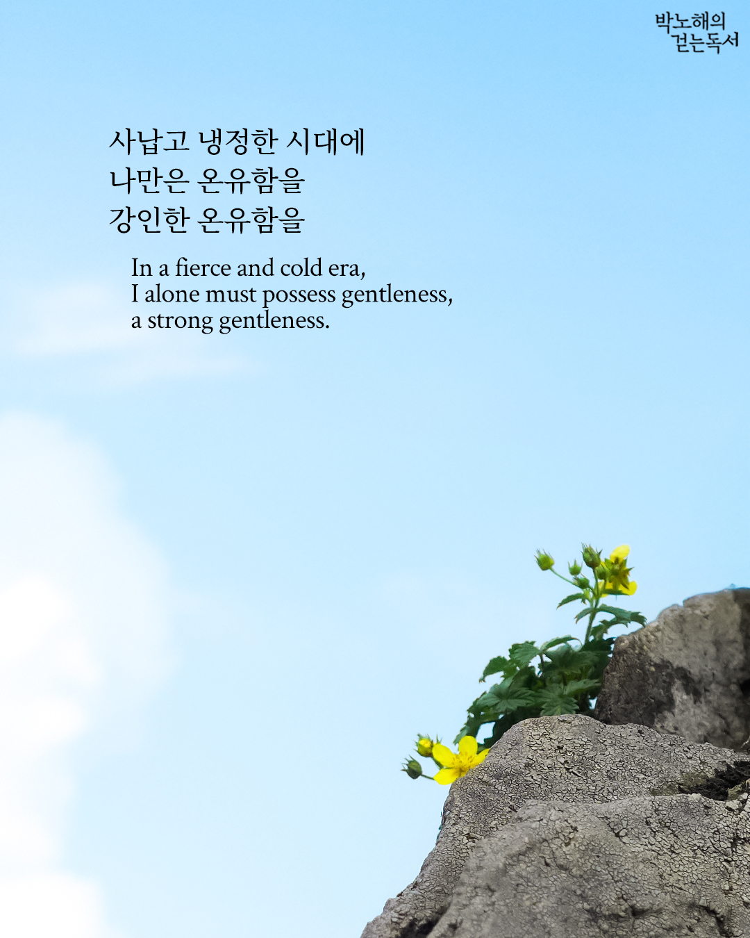 b28798ffc46a86c780b2ecb19c98ee9e.jpg
