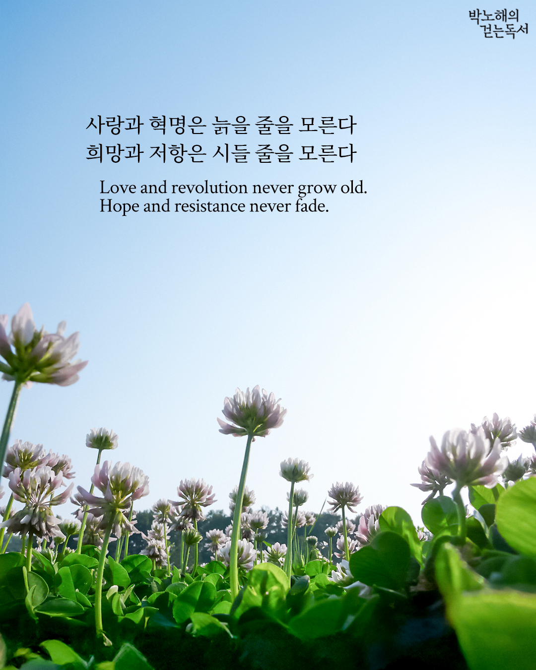 036ed7dd0d944378ea5bb84b3e577fda.jpg