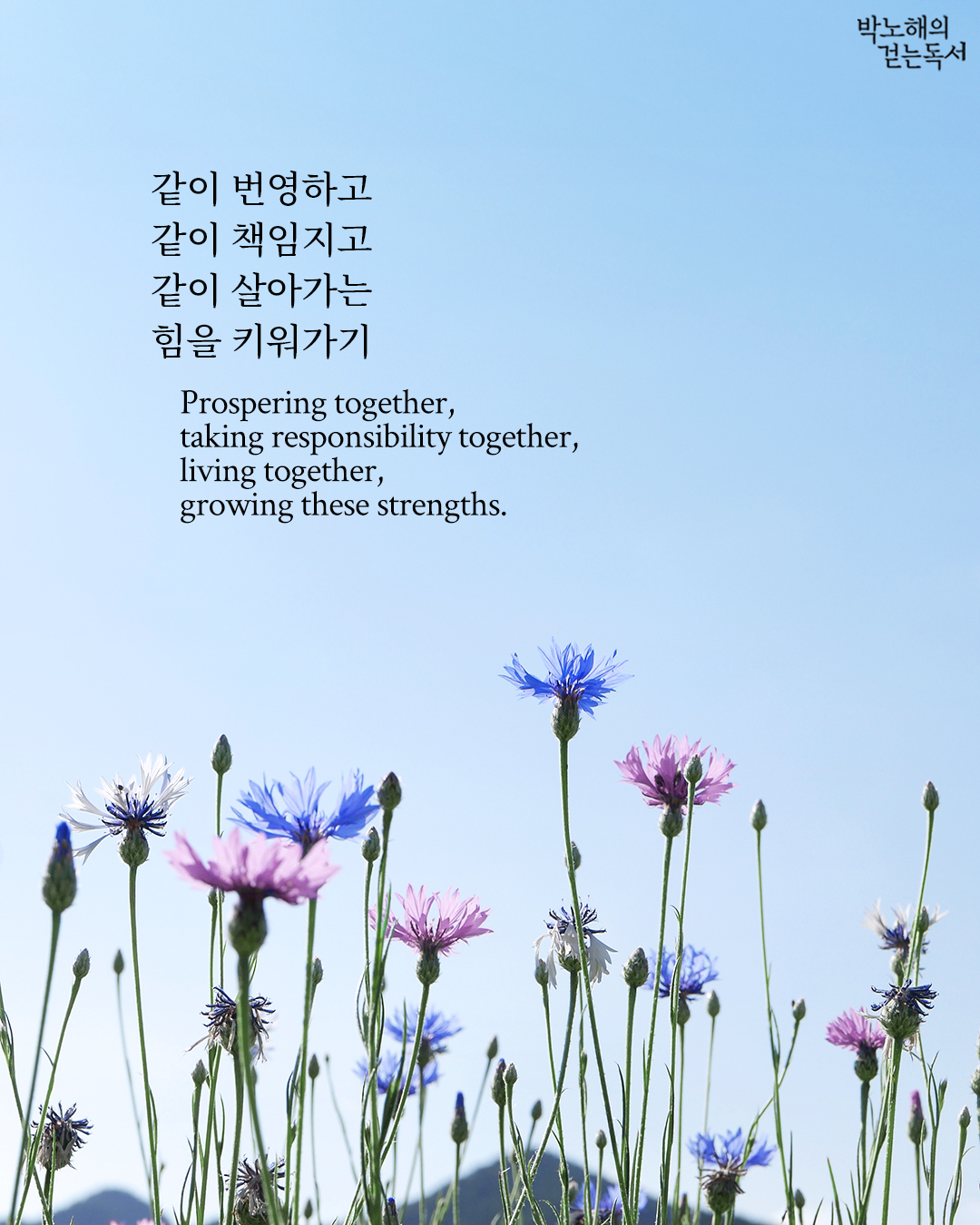 90e2d3be04f17729d28a26d3f3d0fb13.jpg