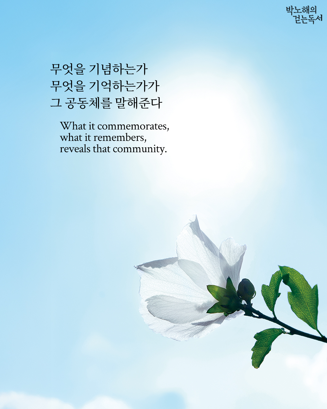 190afe0a527e809436f2315a9491c254.jpg