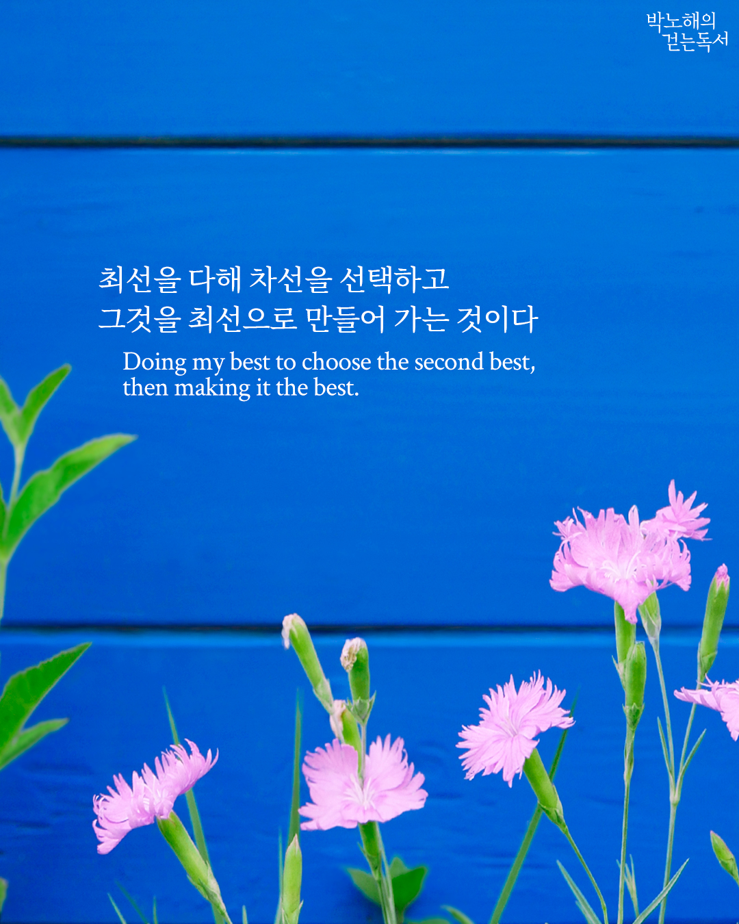 b963509769eaec0f08ba9118347d82fc.jpg