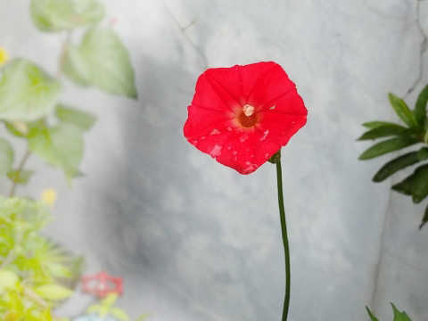 320160920_001433.jpg