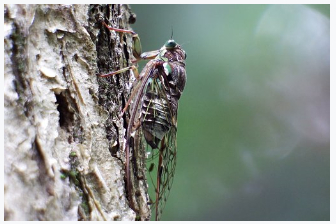 Cap 2018-08-31 23-37-41-808.jpg