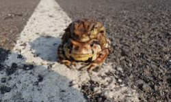 Cap 2019-12-19 23-06-09-817.jpg