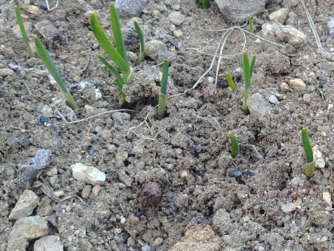 Cap 2019-03-15 00-34-56-072.jpg