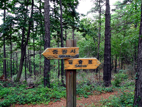 065-40000.jpg