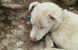 Cap 2019-06-03 21-23-46-094.jpg